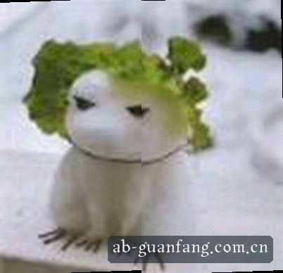 李薇